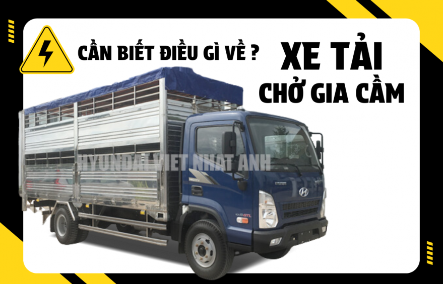 Cần biết điều gì về xe tải chở gia cầm?